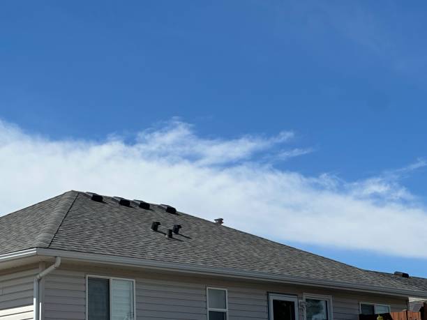 Best Roof Moss and Algae Removal  in Forsgate, NJ
